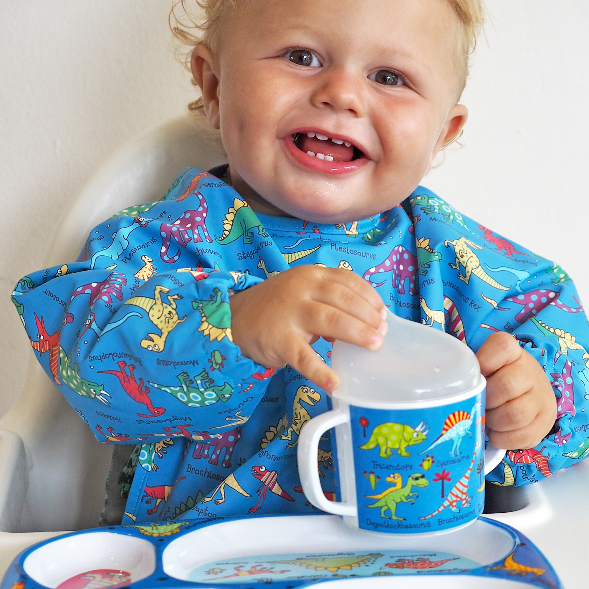 Dinosaurs Coverall Bib