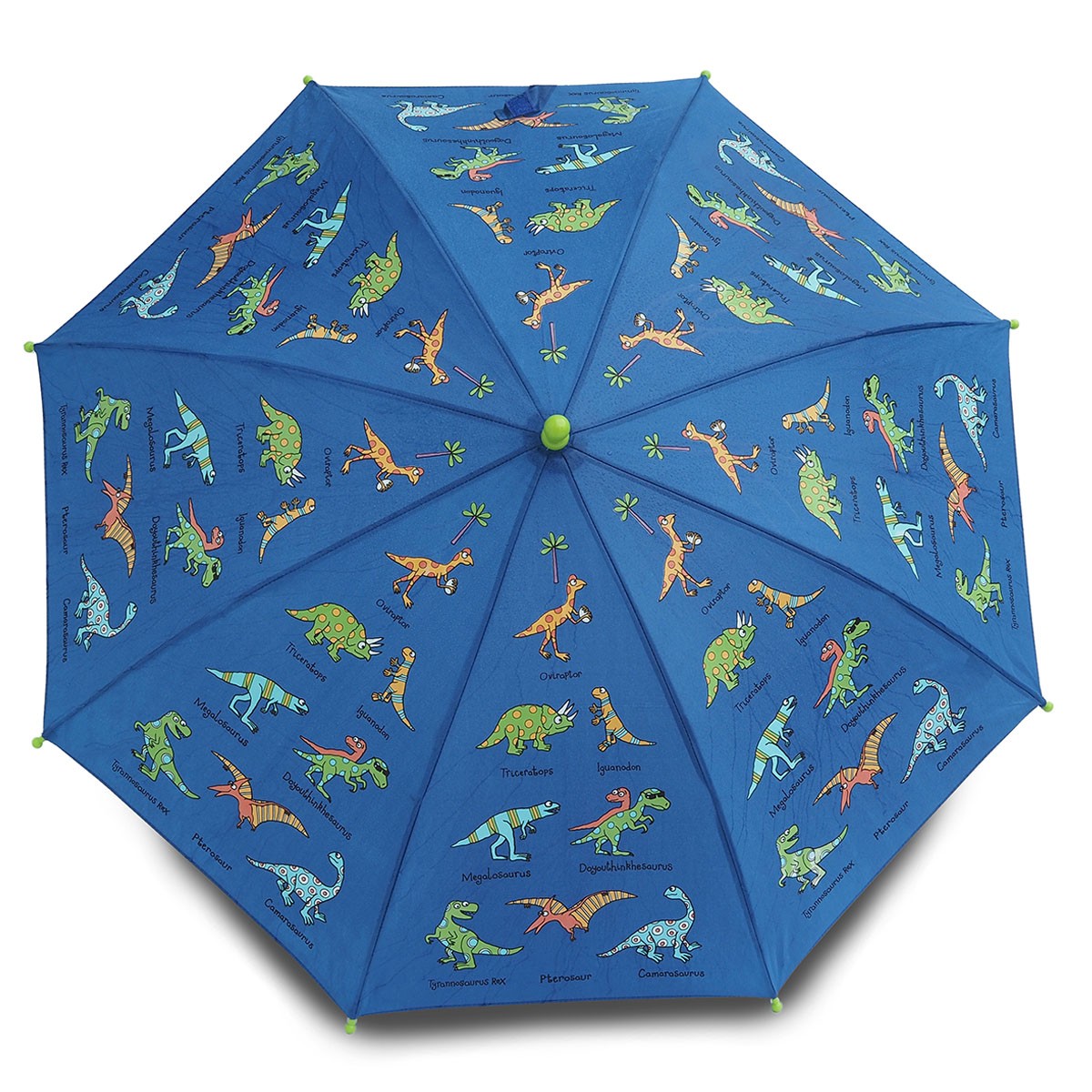Dinosaurs Magic Colour Changing Umbrella