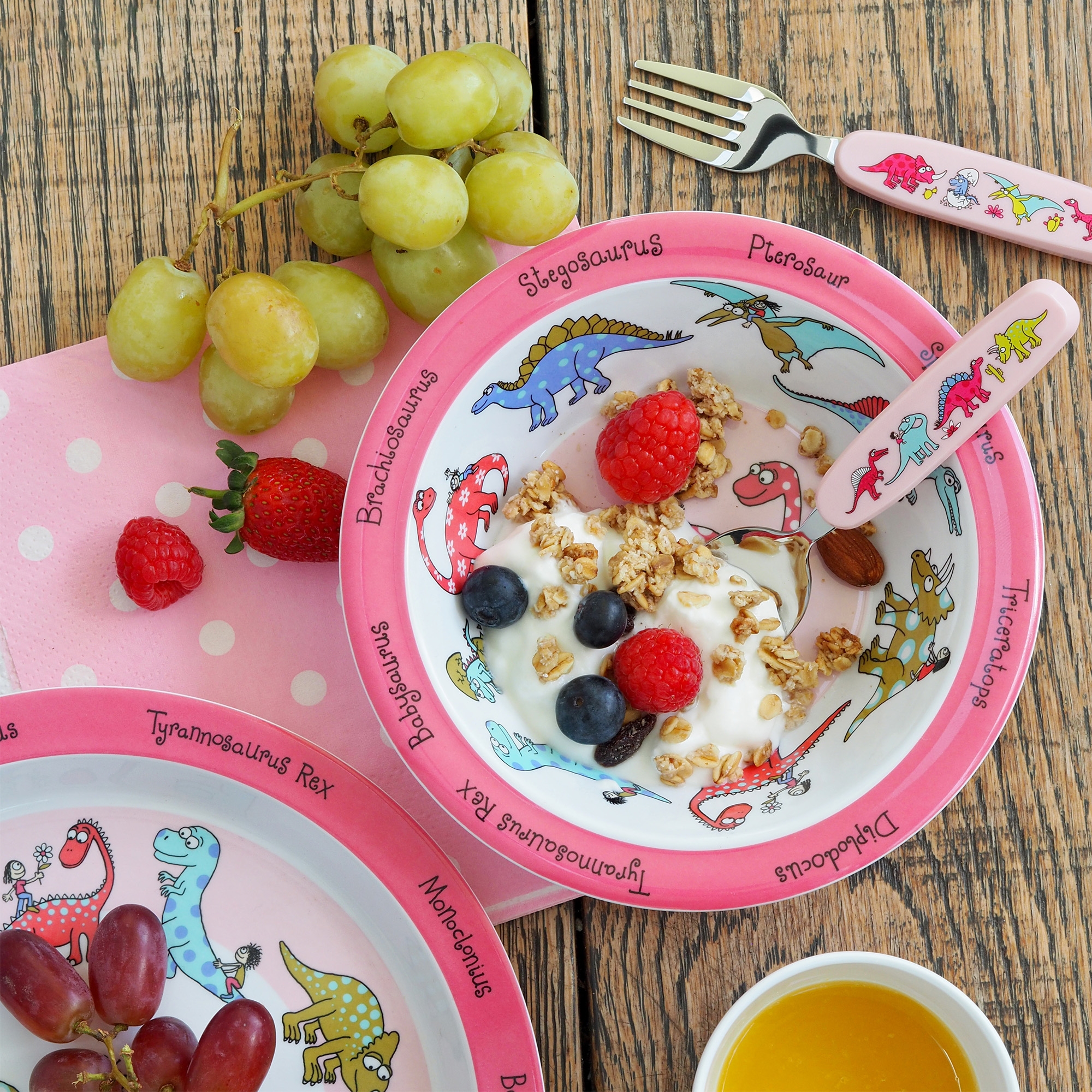 Dinosaurs Pink Melamine Plate